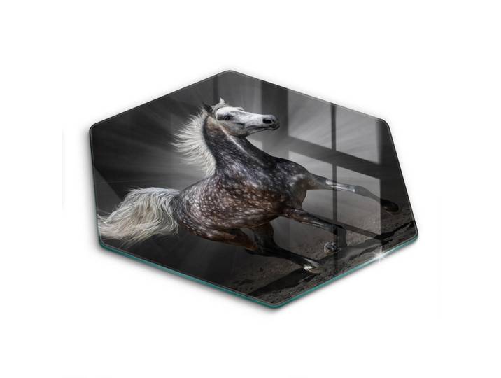 Wallfluent Glasplatte 40 cm Pferd im Galopp, Dunkelgrau, Glas, Rund, 40x40 cm, Küchenzubehör, Schneidebretter