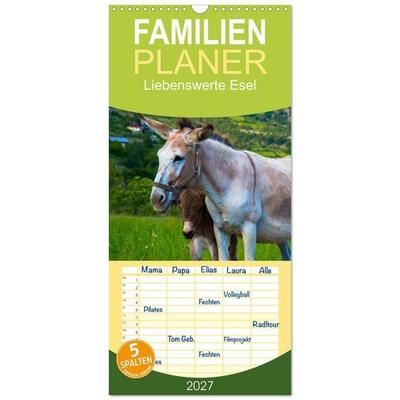 Familienplaner 2027 - Liebenswerte Esel mit 5 Spalten (Wandkalender, 21 x 45 cm) CALVENDO