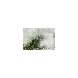 Ziro HydroDesign Wall Palmtree Bild 2/4