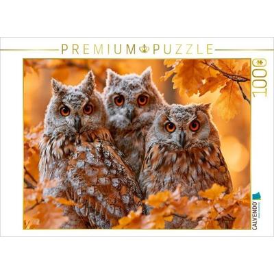 CALVENDO Puzzle Waldohreule, magische Begegnung im goldenen Abendlicht | 1000 Teile Lege-Größe 64x48cm Foto-Puzzle für glückliche Stunden