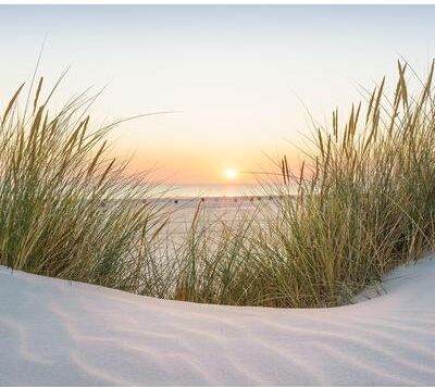 Veer Decor Beach Sunset Wall Mural