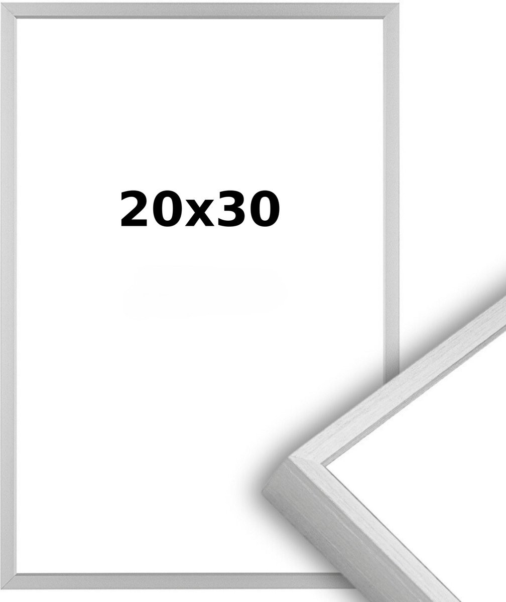Aluminium Wissellijst 20x30 Matzilver met Helder Glas voor Professionals