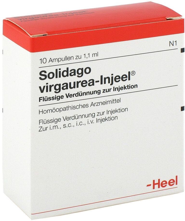 Solidago virgaurea-Injeel Solidago Virgaurea Injeel Ampullen