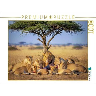 CALVENDO Puzzle Löwen, die über die Steppe wachen. | 1000 Teile Lege-Größe 64x48cm Foto-Puzzle für glückliche Stunden, von , Calvendo Puzzle