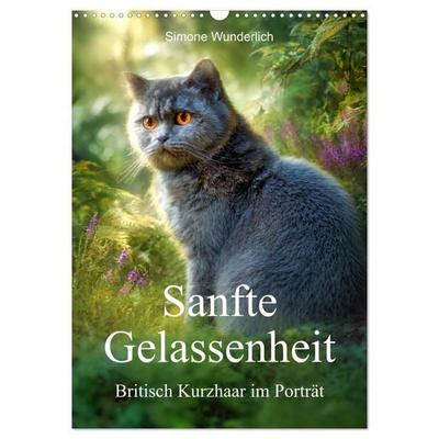 Sanfte Gelassenheit - Britisch Kurzhaar im Porträt (Wandkalender 2027 DIN A3 hoch), CALVENDO Monatskalender