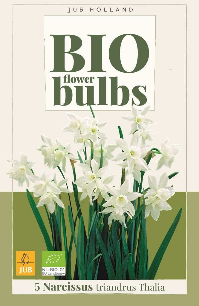 Bio narcis triandrus thalia 5 bollen
