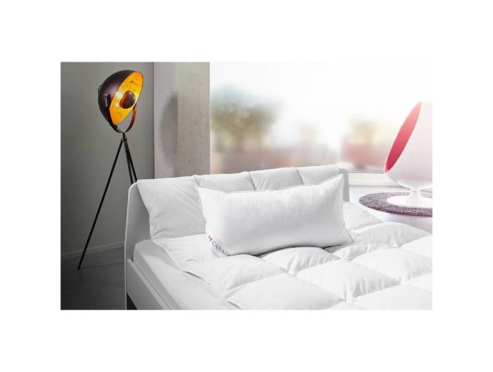 Oreiller Blanc 40 x 80 cm 85% plumes / 15% duvet 85 % plumes, 15 % duvet