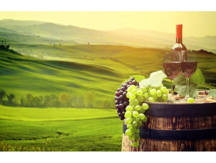 Papermoon WEINBAU-WEIN TRAUBEN FELD WIESE WEIN SONNE LANDSCHAFT