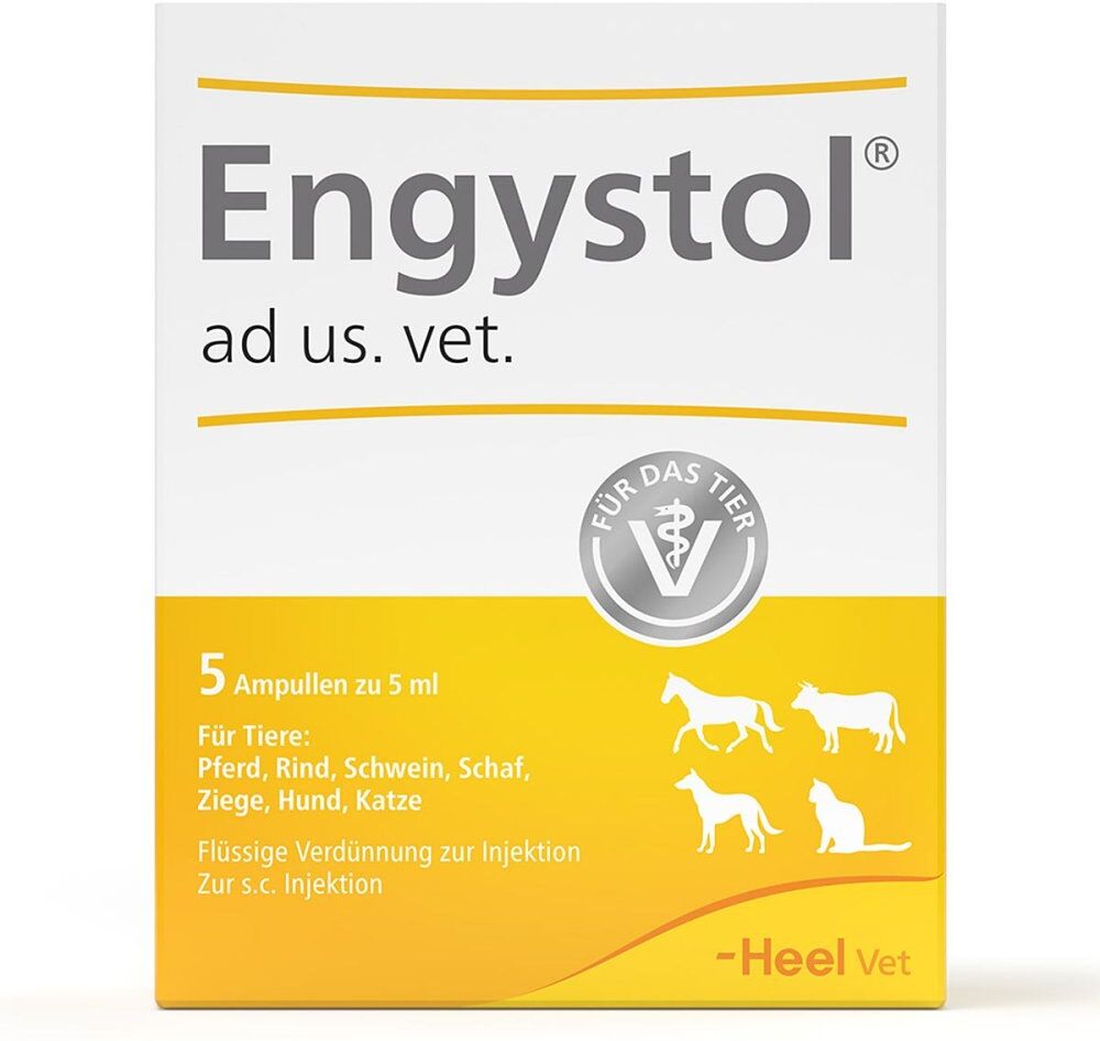 Engystol ad usus vet.Ampullen