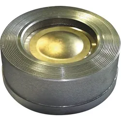 Reiche Rückschlagventil TCF-M DN80 PN6/10/16 Messing