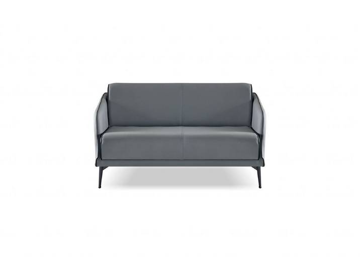 Xlmoebel 2-Sitzer Sofa modernes Grau minimalistisch vielseitig ergonomisch, 1 Teile