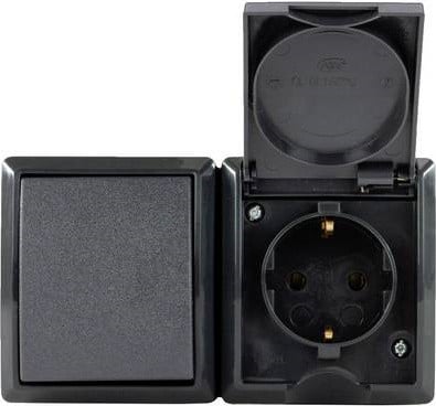 REV RITTER AquaForm FR AP stopcontact-schakelaar combinatie, antraciet
