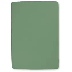 schlafgut Spannbettlaken Premium 180-200 x 200-220 cm Baumwolle Grün 180 200