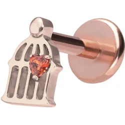 Titan Labret mit Push Fit KÄFIG