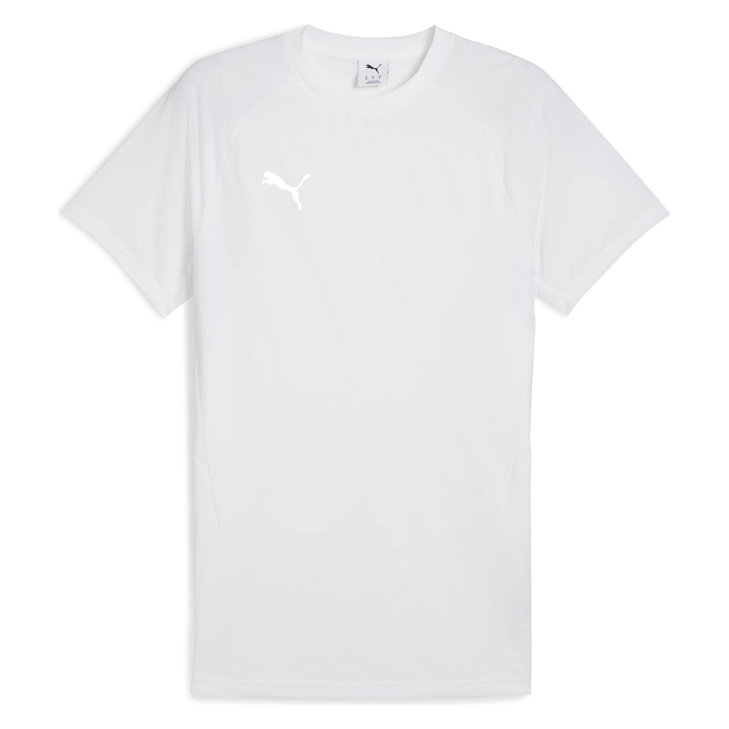 Puma teamEVOSTRIPE Tee (M) (659953)
