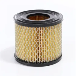 ELMAG Luftfilter für Briggs und Stratton Motor - 9503719
