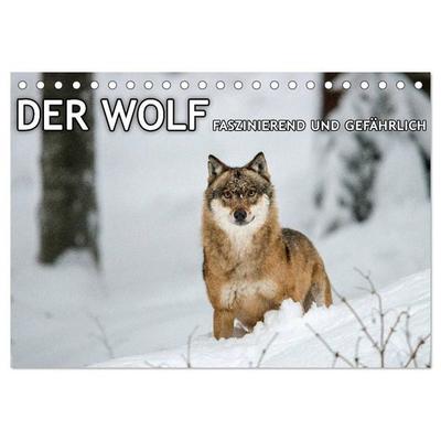 DER WOLF - faszinierend und gefährlich (Tischkalender 2027 DIN A5 quer), CALVENDO Monatskalender