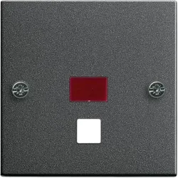 Gira Zentralplatte Zugtast. ant 063828