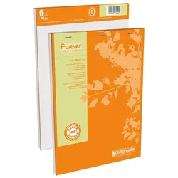 Clairefontaine, Heft + Block, Forever papier recyclé (A4, Kariert, Weicher Einband)