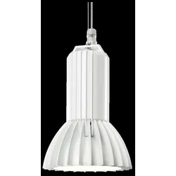 Ridi-Leuchten LED-Strahler RLS1-DAWS830-SMB800