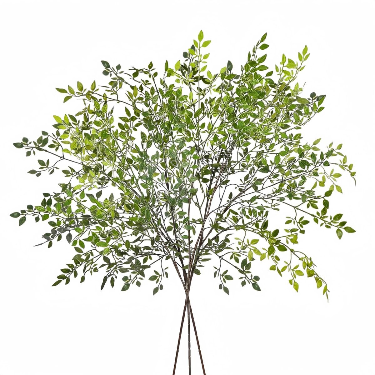 OmGoods Dailygoody Eucalyptus takken voor decoratie - 3 stuks - 110 cm