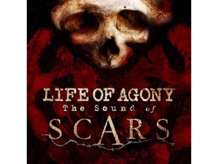 The Sound of Scars
