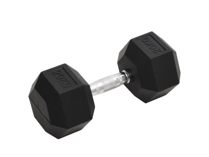 vidaXL Kurzhantel 20 kg Gusseisen