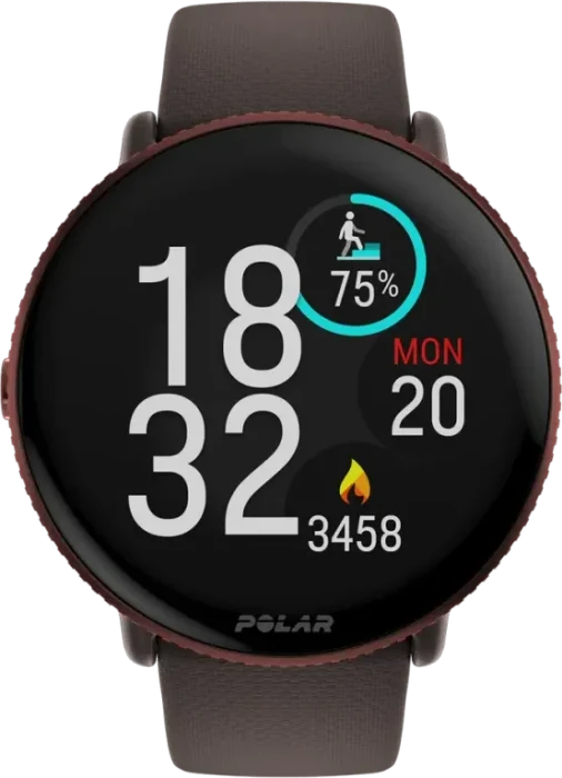 Polar Ignite 3 braun