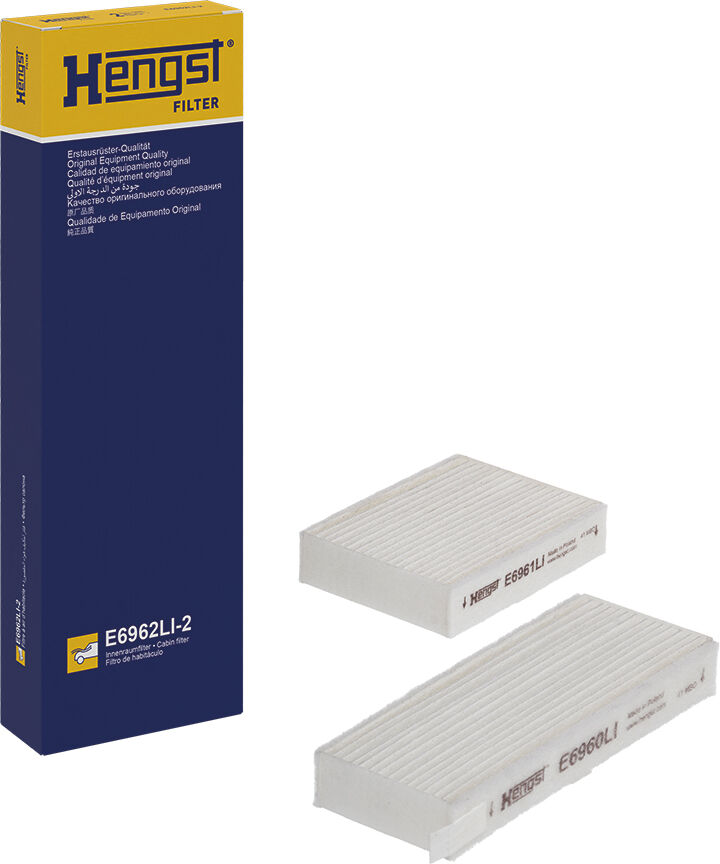 Hengst Filter E6962li2 Für Daf