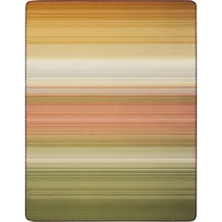 Biederlack Kinderdecke Young & Fancy Woodland 150x200 cm