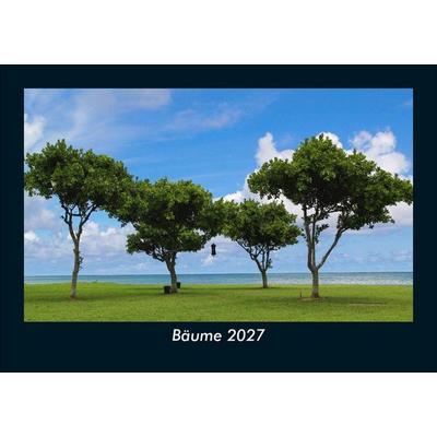 Bäume 2027 Fotokalender DIN A5