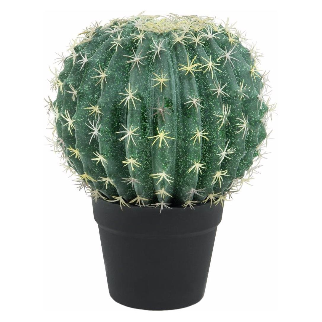 Europalms Kugelkaktus (34 cm) (82600063)