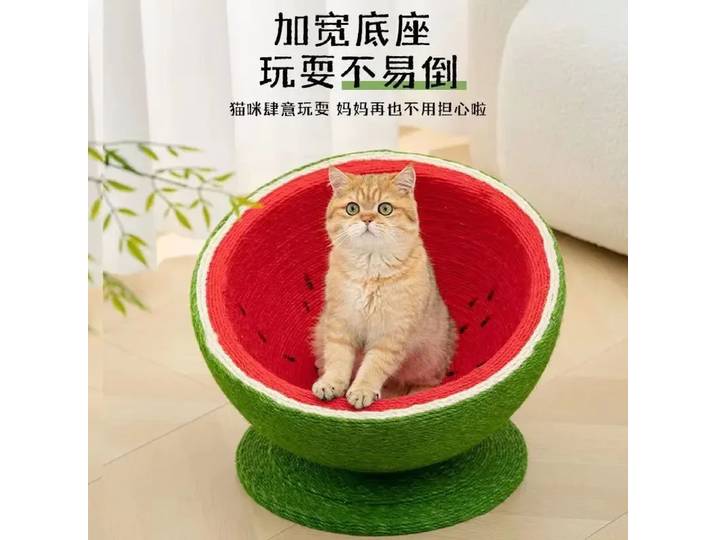Griffoir, résistant à l'usure et sans peluches, Niche pour chat, Canapé jouet, Anti-griffures pour chat, Arbre à chat