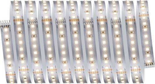 Paulmann LED Strip Basisset 71242 LED-Streifen 230V 3m Warmweiß 1 Set