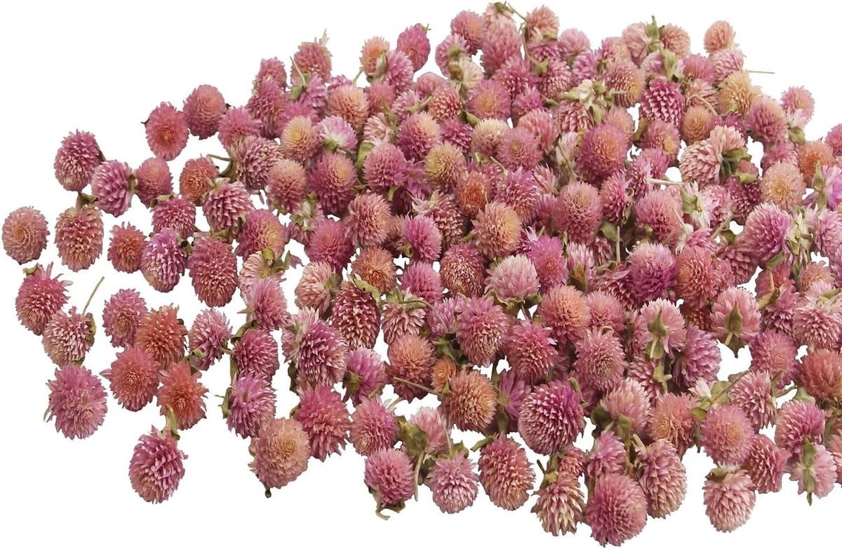 220 stuks Kunstbloemen Amarant - Gedroogde Bloemhoofden - Roze