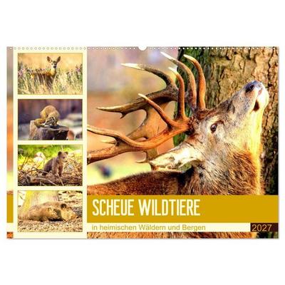Scheue Wildtiere in heimischen Wäldern und Bergen (Wandkalender 2027 DIN A2 quer), CALVENDO Monatskalender
