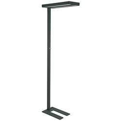 Maul MAULjuvis 8258690 LED-Stehlampe mit Bewegungsmelder LED LED fest eingebaut 64 W Schwarz