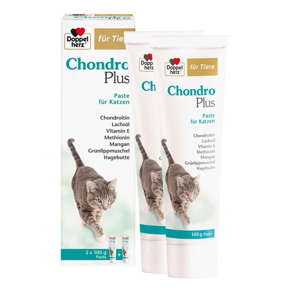 Queisser Pharma GmbH & Co. KG Doppelherz Für Tiere Chondro Plus Paste F.katzen 19745263