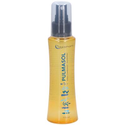 Pulmasol Spray 115 ml Liquidum