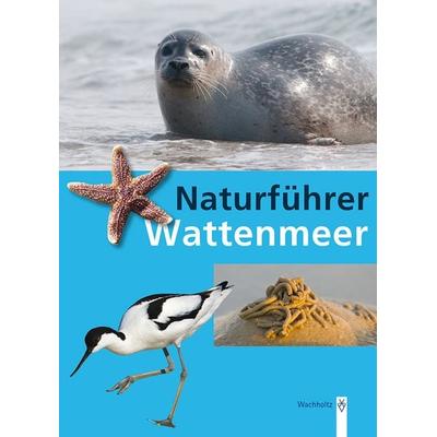 Naturführer Wattenmeer, Taschenbuch von Rainer Borcherding, Wachholtz, 978-3-529-05352-8