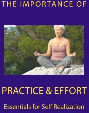 Nisargadatta Maharaj - The Importance of Practice & Effort: Essentials for Self Realization - Preis vom 09.10.2026 07:28:09 h