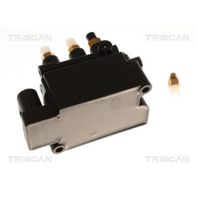 TRISCAN Kompressor, Druckluftanlage 872581202 für Tesla