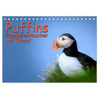 Puffins - Papageientaucher auf Island (Tischkalender 2027 DIN A5 quer), CALVENDO Monatskalender