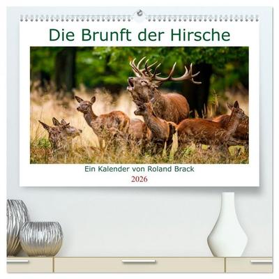 Die Brunft der Hirsche (hochwertiger Premium Wandkalender 2026 DIN A2 quer), Kunstdruck in Hochglanz