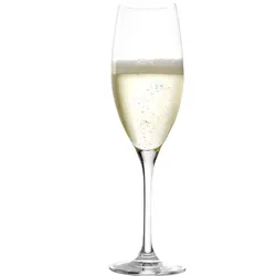 60x Stölzle Lausitz Classic Champagnerglas 240 ml Champagnerkelch