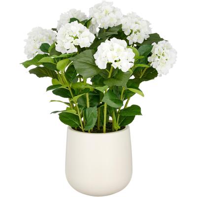 Kunstpflanze CREATIV GREEN "Hortensie", weiß, H:70cm, Kunststoff, Kunstpflanzen, Kunstpflanze, im eleganten Topf