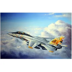 Hobby Boss F-14A Tomcat
