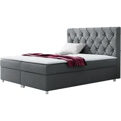 BOXBETT Roma - H3