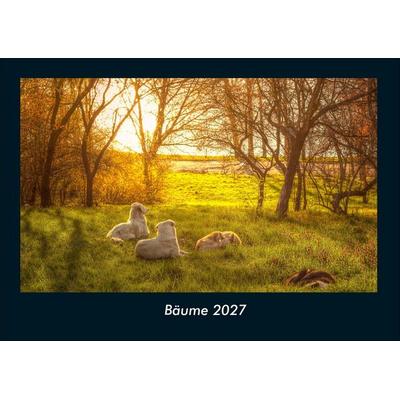 Bäume 2027 Fotokalender DIN A4