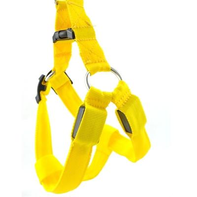 Hund Geschirre LED-Lampen Sicherheit Einfarbig